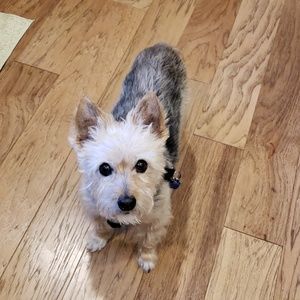 Meet your Posher, Julie